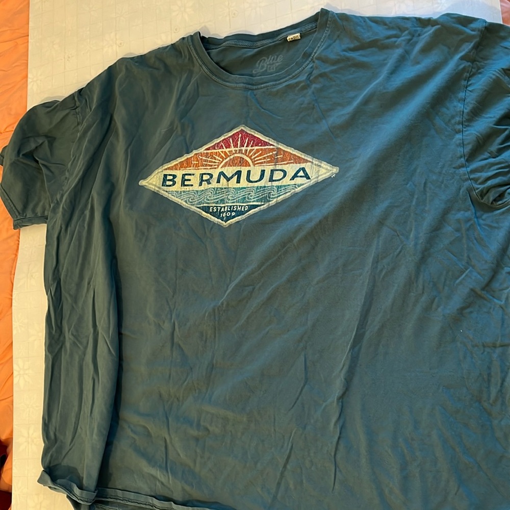 Bermuda Tee 3X Teal